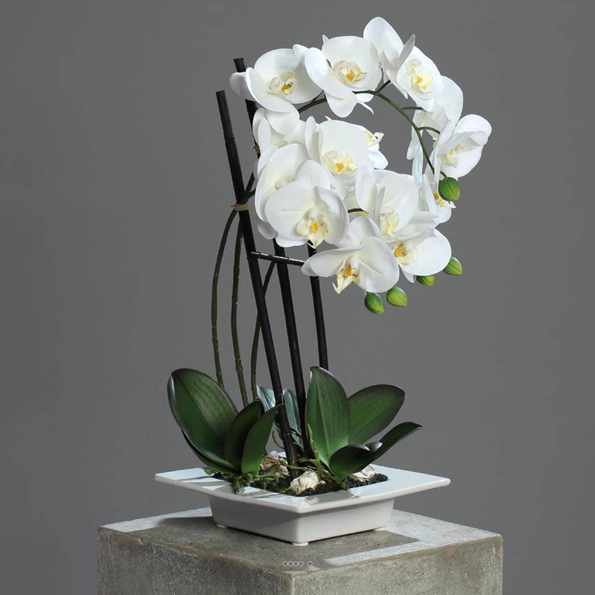 Artificielles - Orchidee factice 3 hampes en coupe ceramique H50cm touché réel Crème - couleur: Crème - Imagen 2