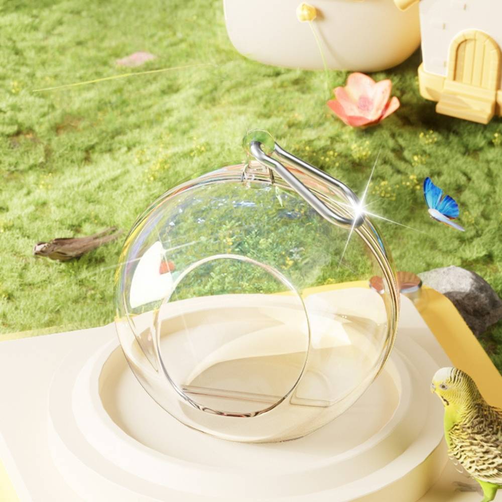 Nid d'oiseau transparent - IntiMeg - Image 2