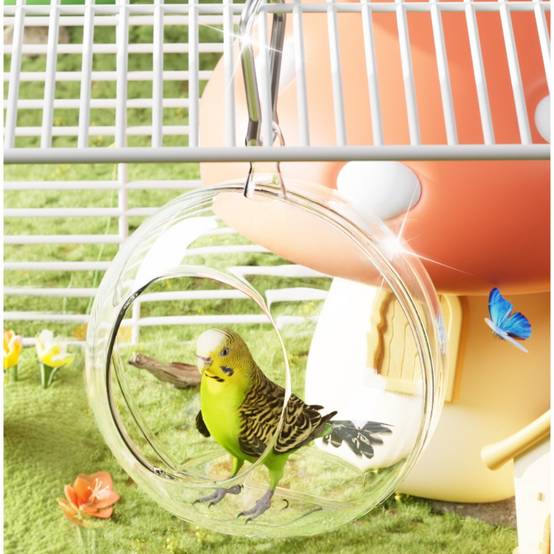 Nid d'oiseau transparent - IntiMeg - Image 5