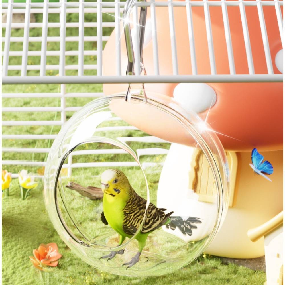 Nid d'oiseau transparent - IntiMeg - Image 5