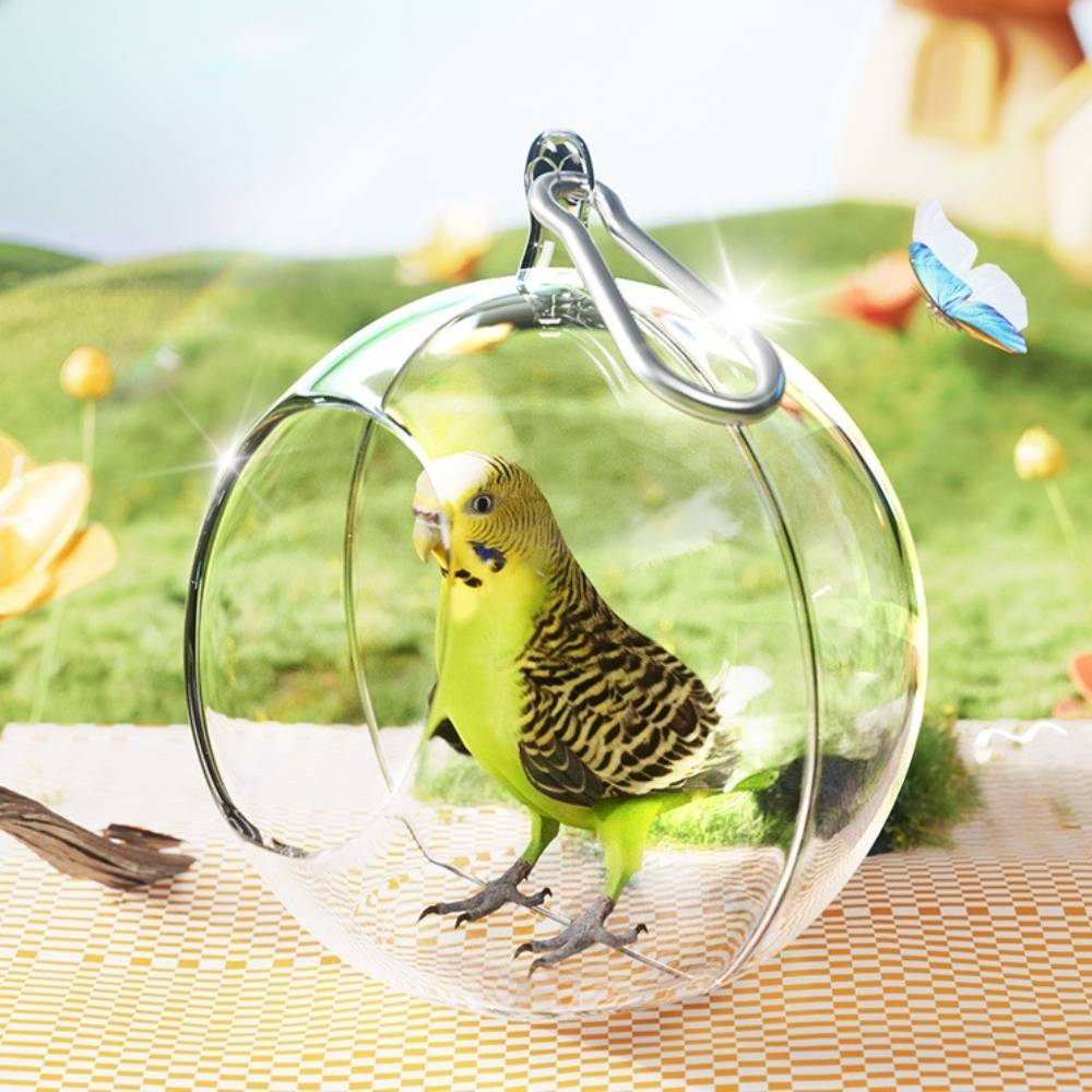 Nid d'oiseau transparent - IntiMeg - Image 3