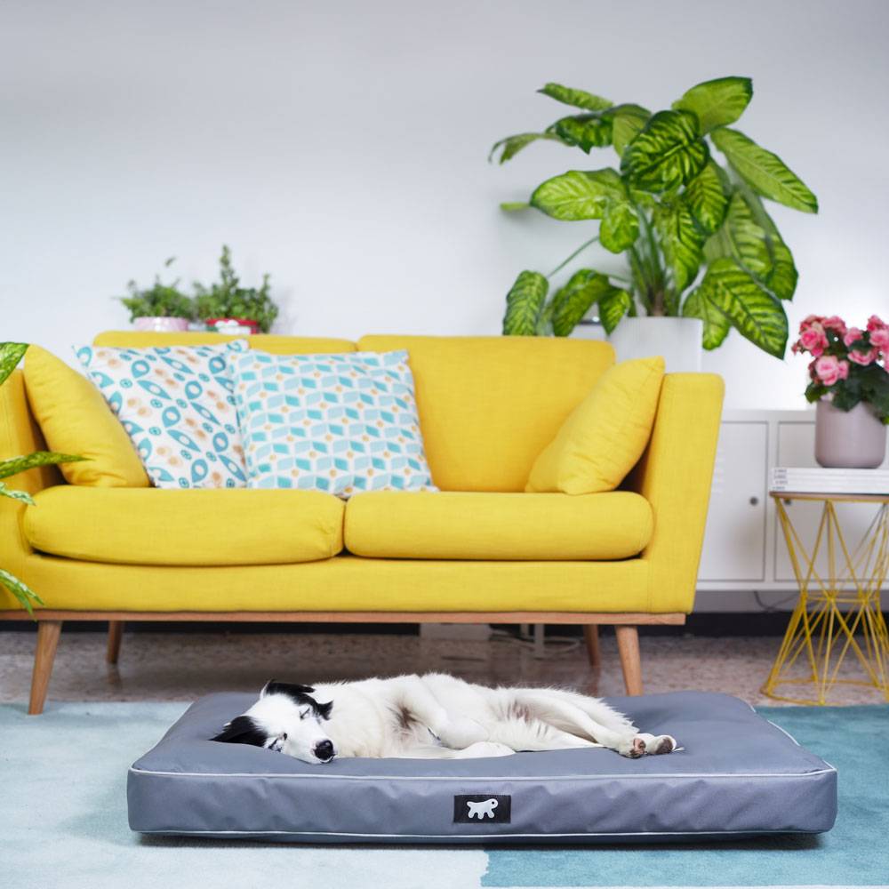 Ferplast - FERPLAST Panier Chien Chat - Coussin Orthopédique Chien - Lavable en Machine - Tapis Chien - Lit Chat Chien - Imperméable & Anti-Rayures - Rembourrage - Imagen 3