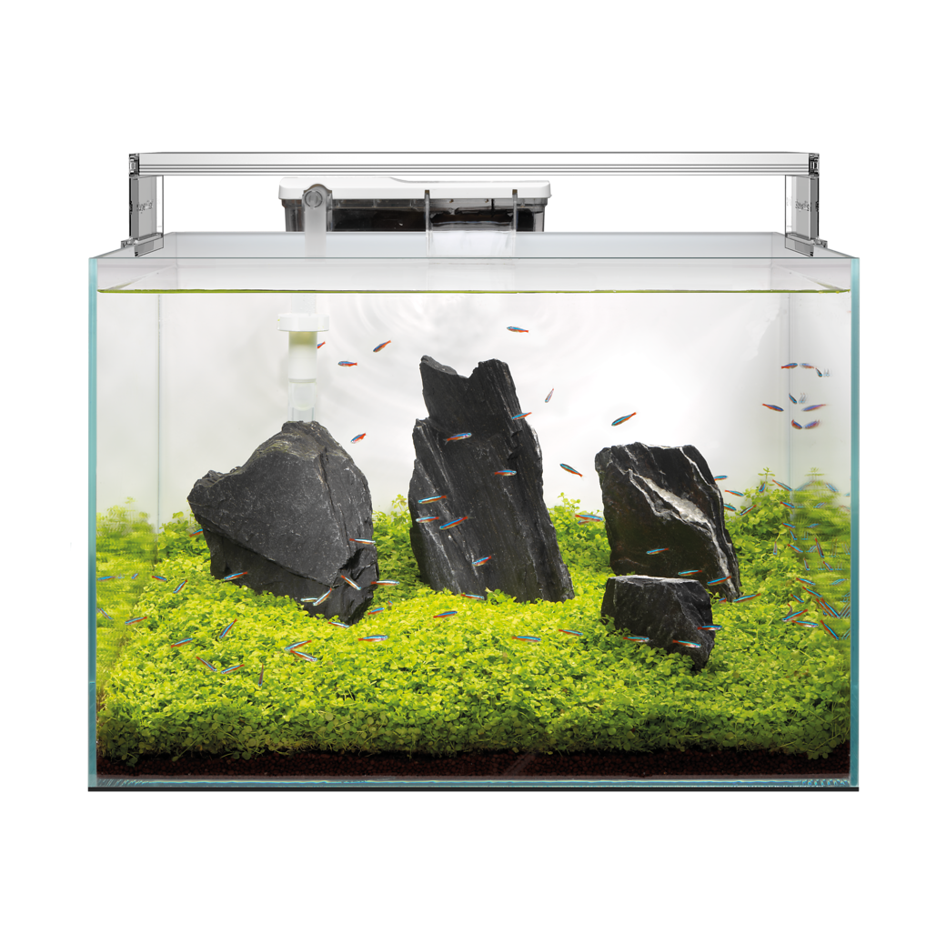 Superfish - Aquarium Scaper 60 L verre opti-white 50 x 35 x 35 cm - SUPERFISH