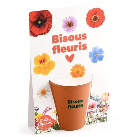 Radis et Capucine - Radis et Capucine - Carte message - Bisous fleuris - Mellifères - Image 2