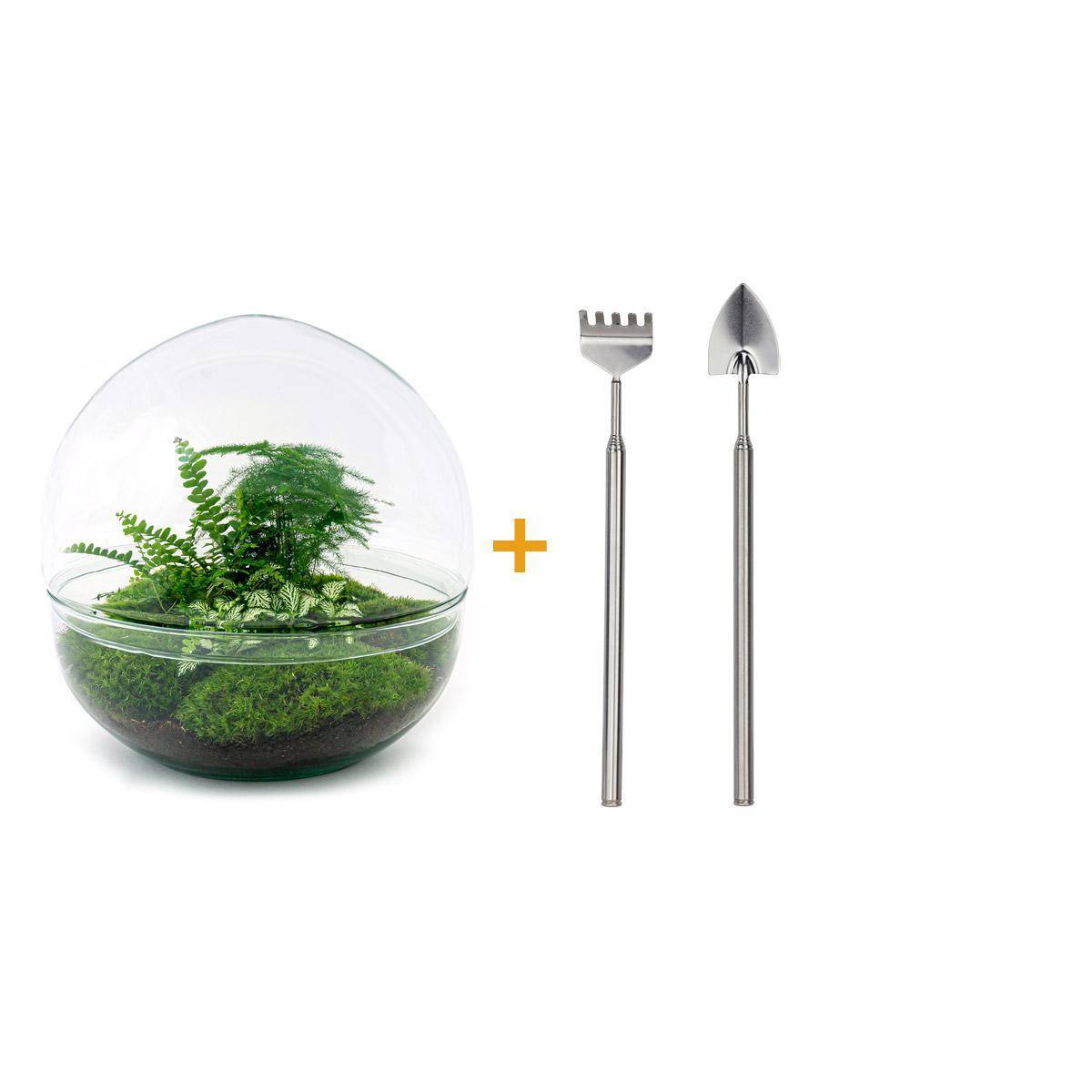 Diy Terrarium - D30 H30cm - Image 1