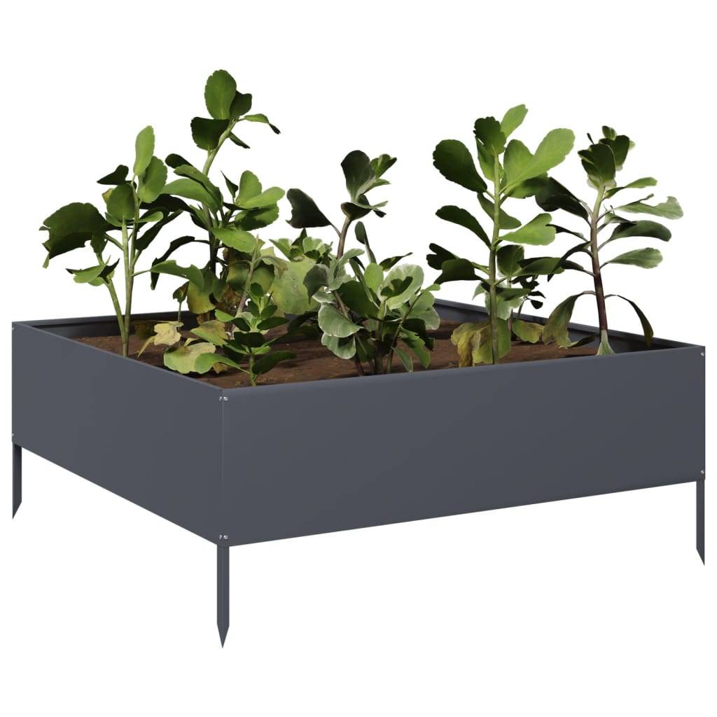 PANGIVO - Lit surélevé jardin acier anthracite 100 x 100 x 25 cm - PANGIVO - Image 3