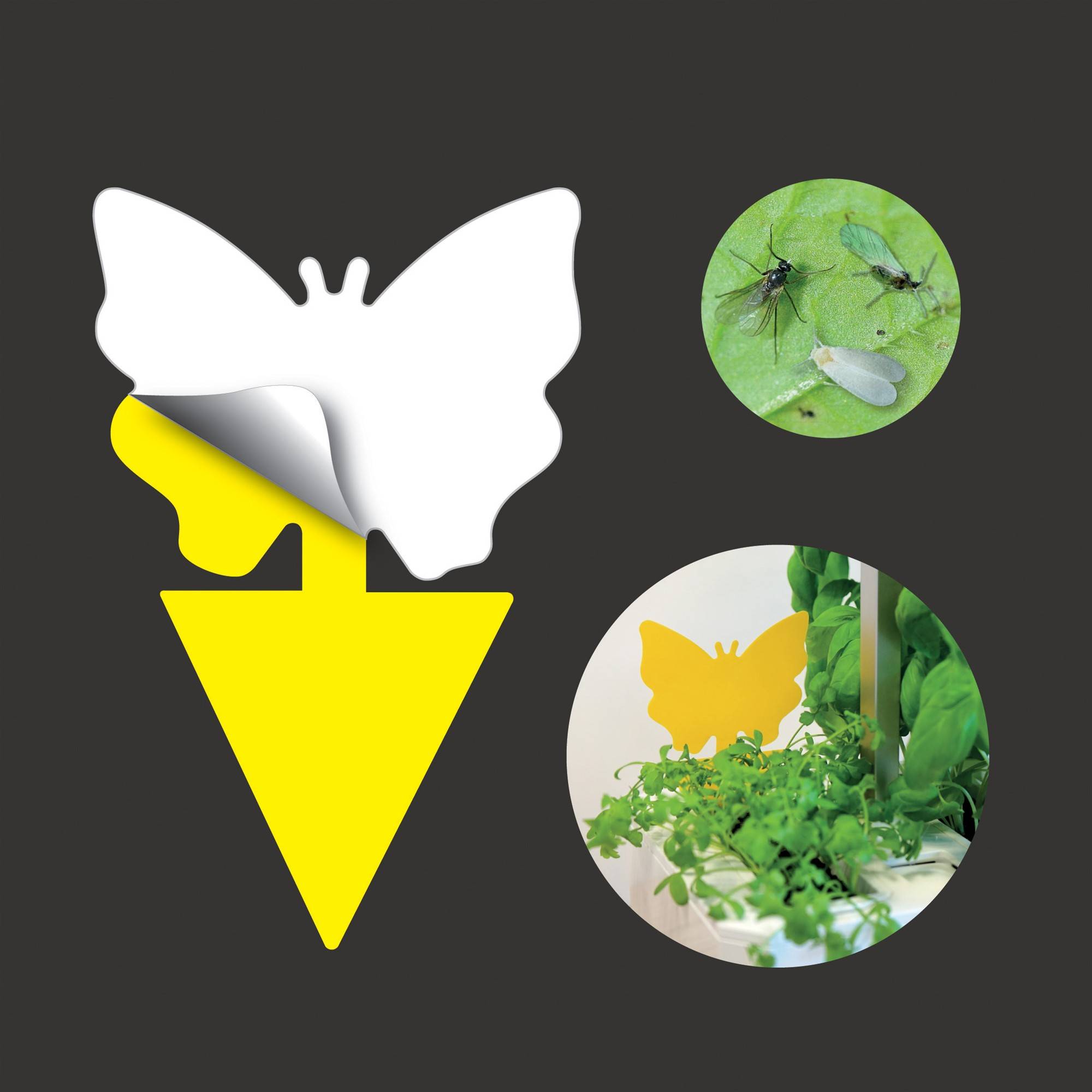 Veritable - 8 pièges jaunes collants contre les insectes - Véritable - Imagen 5