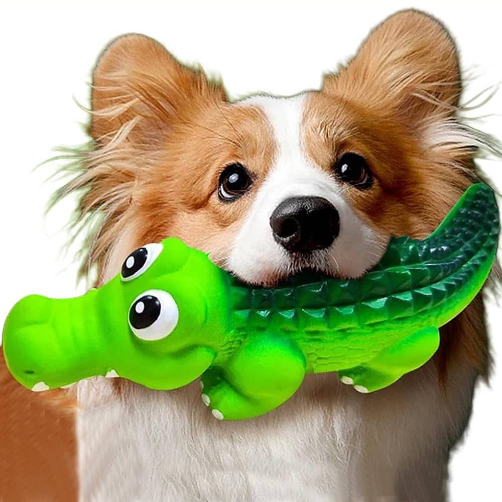 Jouet à mâcher pour chien - En caoutchouc indestructible - Image 1