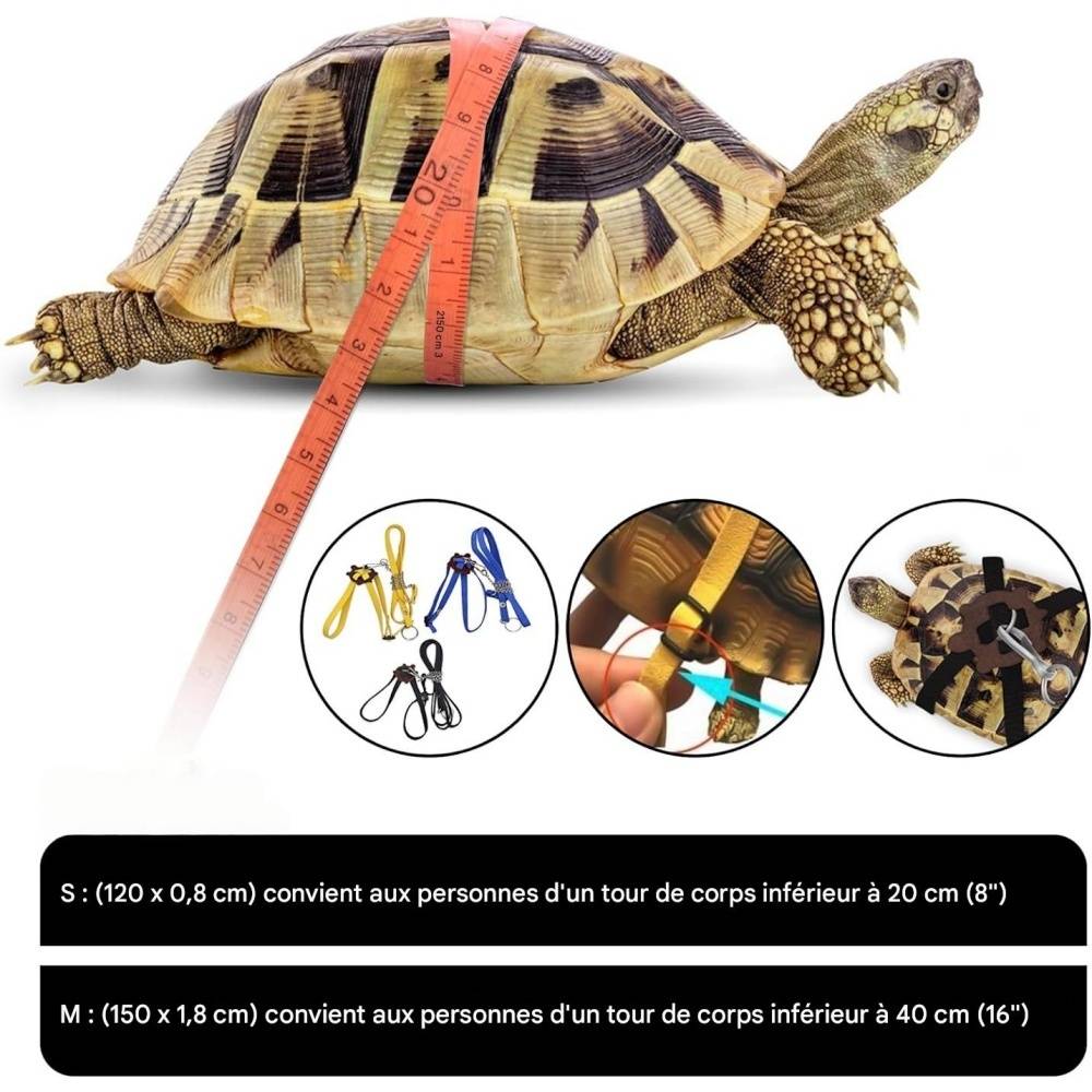 Harnais en cuir pour petite tortue DtopbuyAge - Image 5