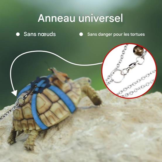 Harnais en cuir pour petite tortue DtopbuyAge - Image 4