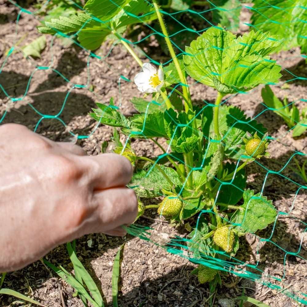 Filet de protection pour plantes et cultures 2 x 5 Vert - Image 6