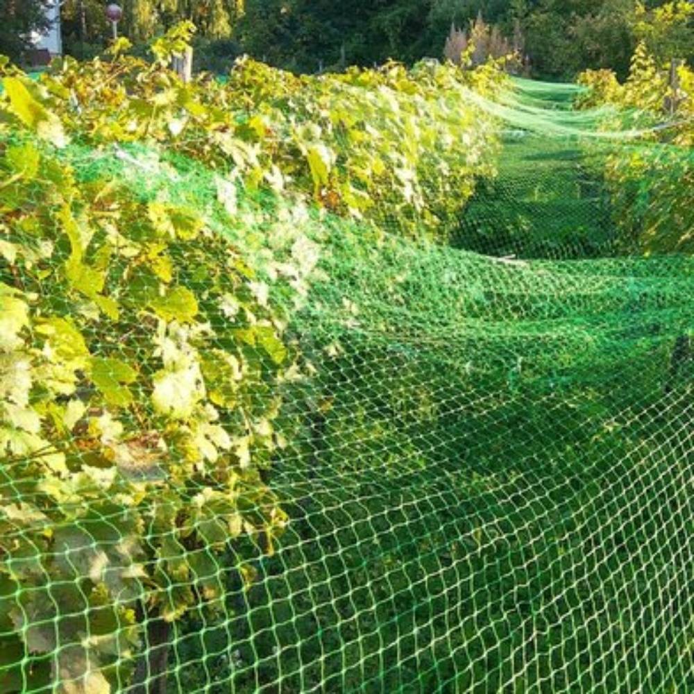 Filet de protection pour plantes et cultures 2 x 5 Vert - Image 5