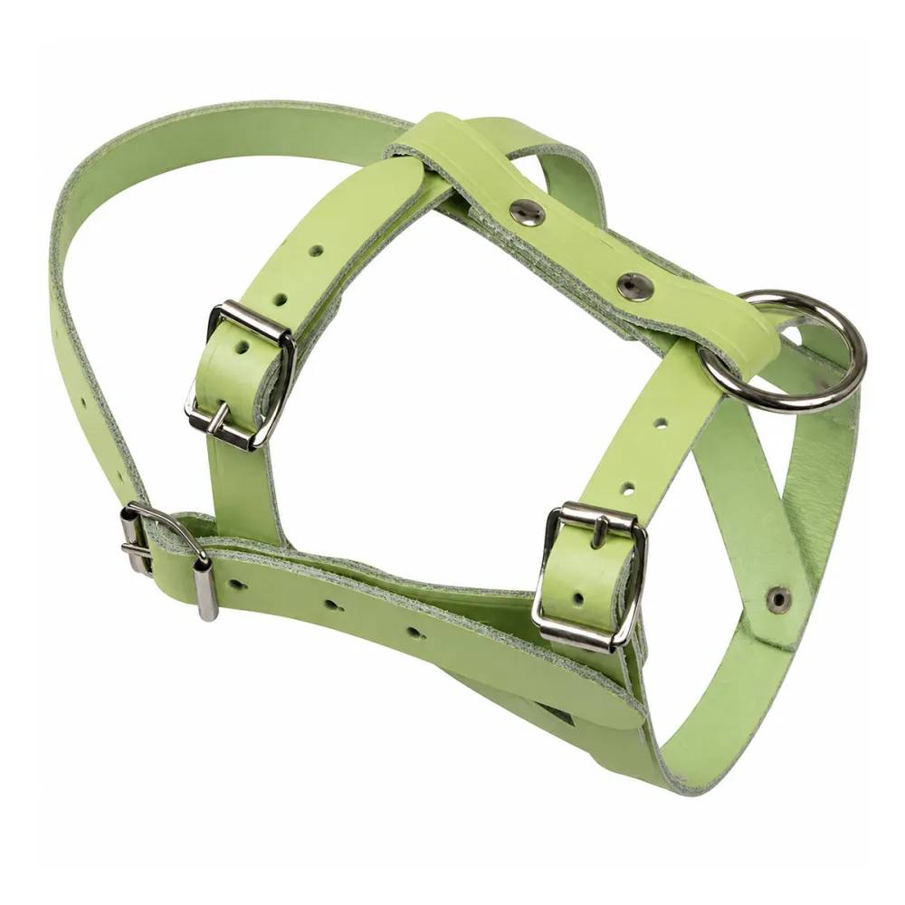 Licol pour mouton ou bélier en cuir - Image 3