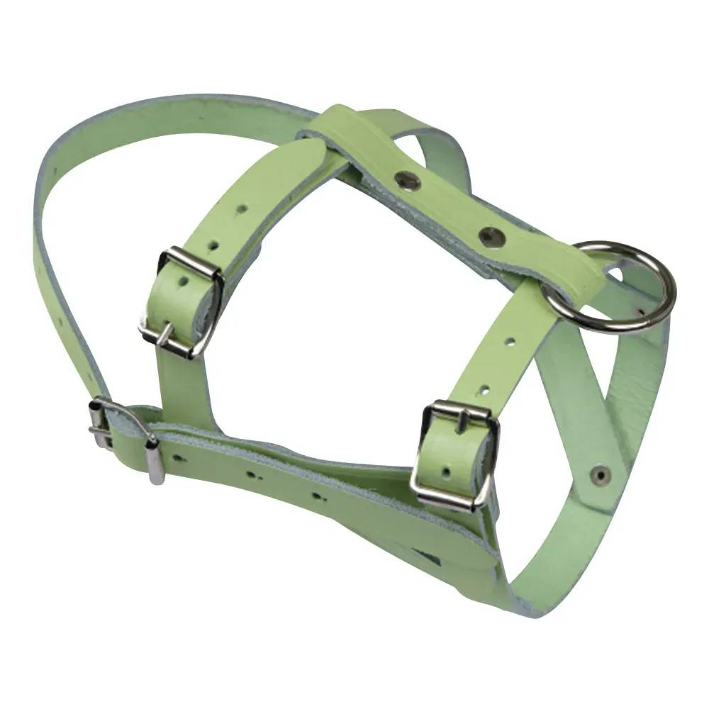 Licol pour mouton ou bélier en cuir - Image 1