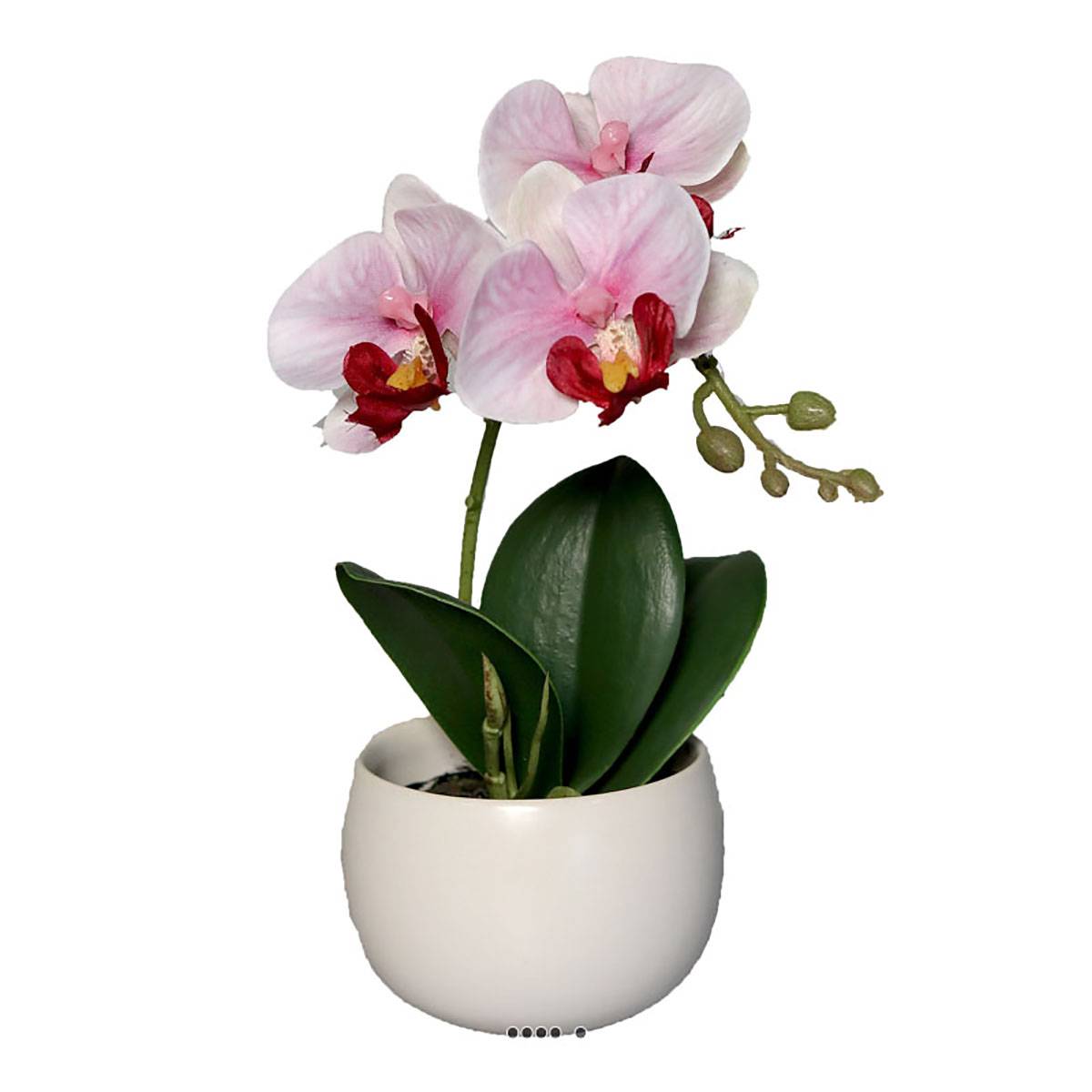 Artificielles - Adorable fausse orchidée coupe céramique H 16 cm Rose-crème - couleur: Rose-crème - Imagen 1