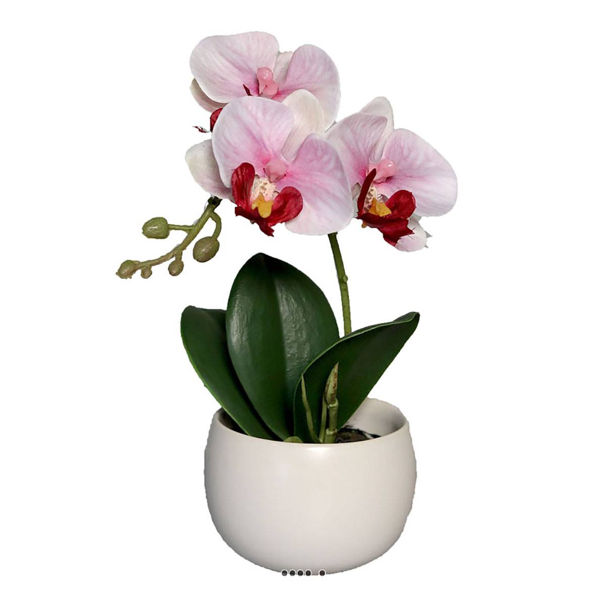 Artificielles - Adorable fausse orchidée coupe céramique H 16 cm Rose-crème - couleur: Rose-crème - Imagen 2