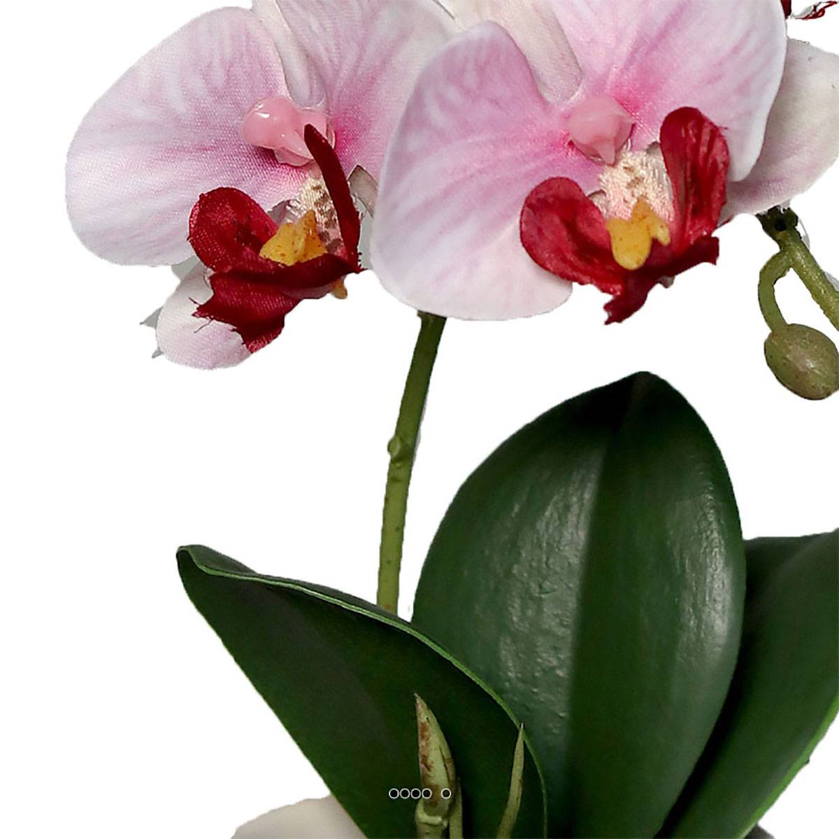 Artificielles - Adorable fausse orchidée coupe céramique H 16 cm Rose-crème - couleur: Rose-crème - Imagen 3