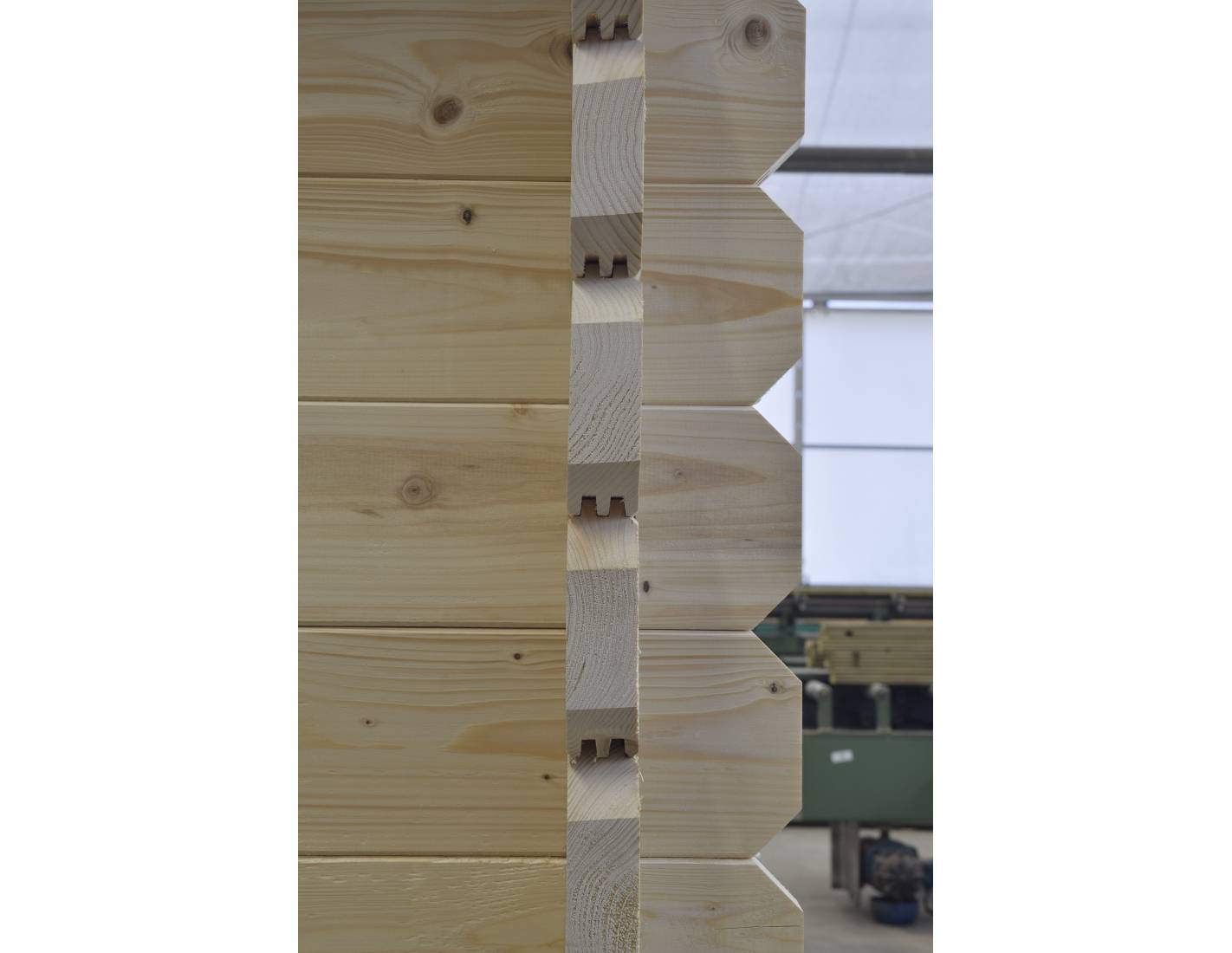 Altanka - Abri de jardin en bois - 36m2 - 6x6m - Ep. 40mm - Couleur: naturel - DOM610 - ALTANKA - Imagen 5