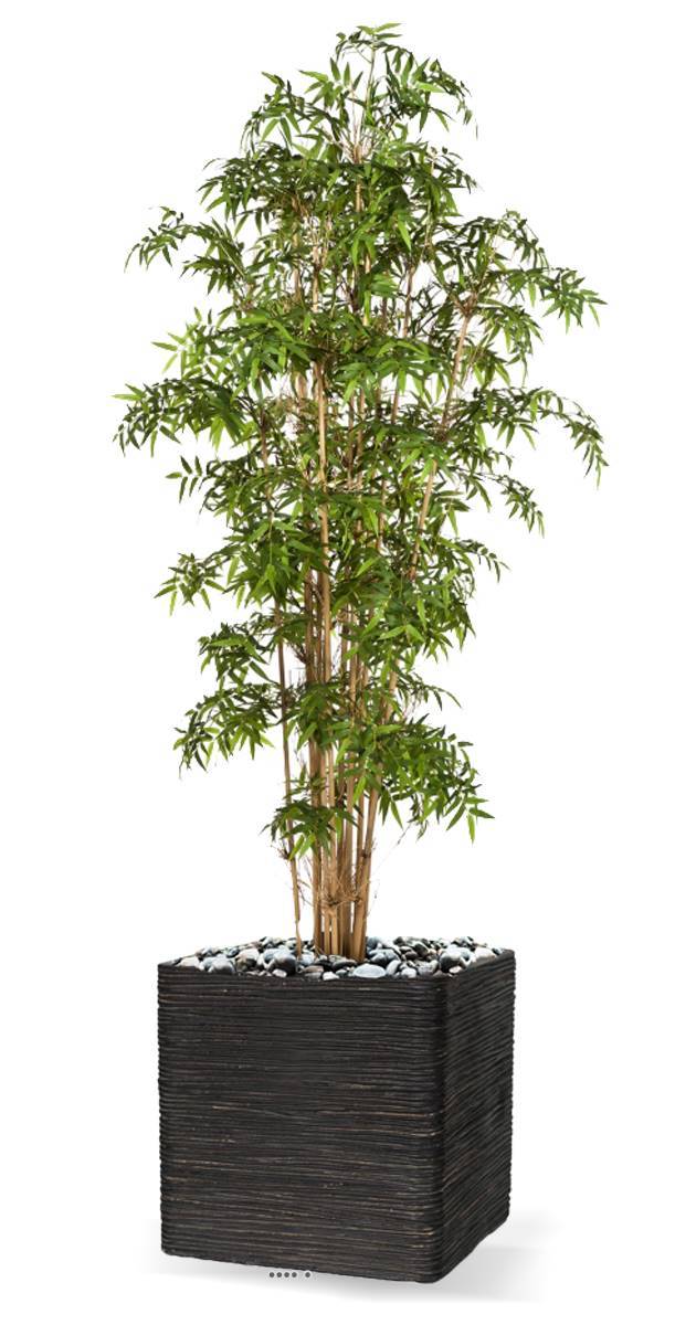 Artificielles - Bambou du Japon Luxe artificiel H 110 cm 1310 feuilles en pot - dimhaut: H 110 cm - couleur: Vert