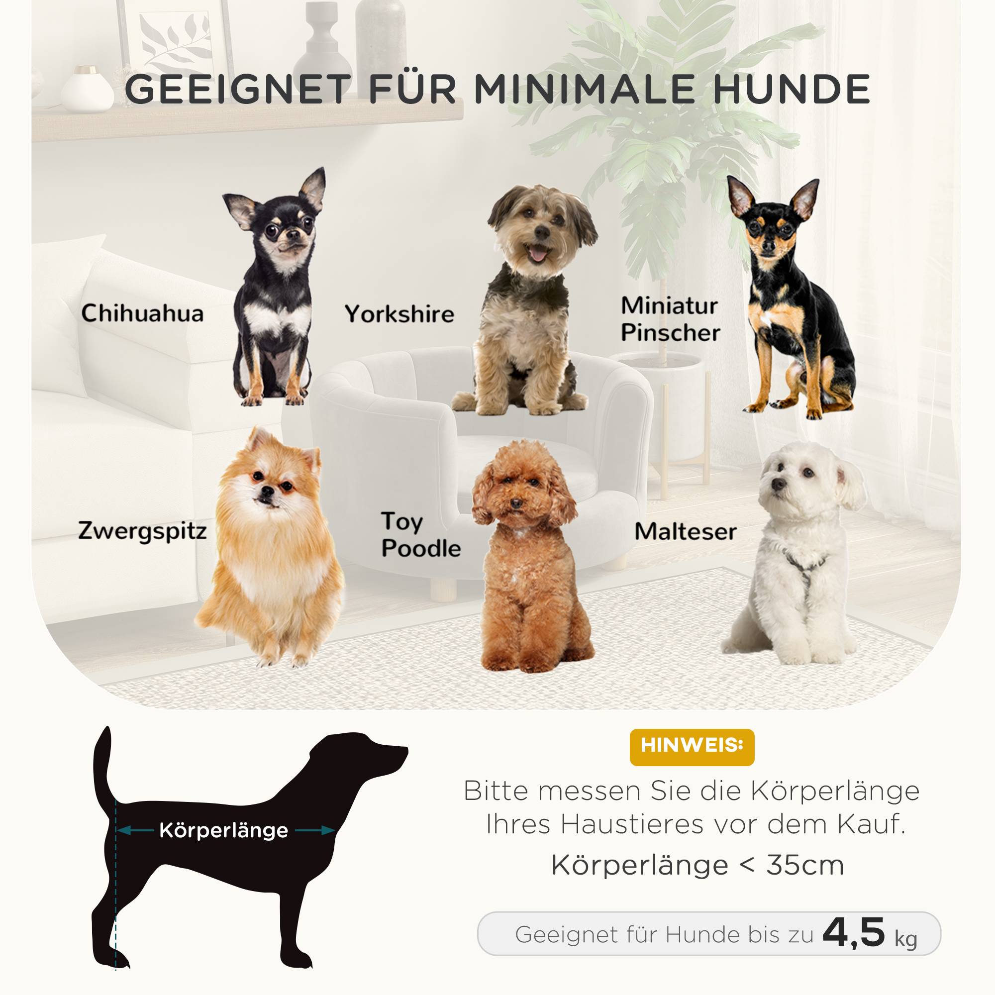 ComfortXL - Canapé pour chien et chat polyester 65 x 64 x 37 cm gris sur pieds bois coussin amovible dossier enveloppant - Image 4