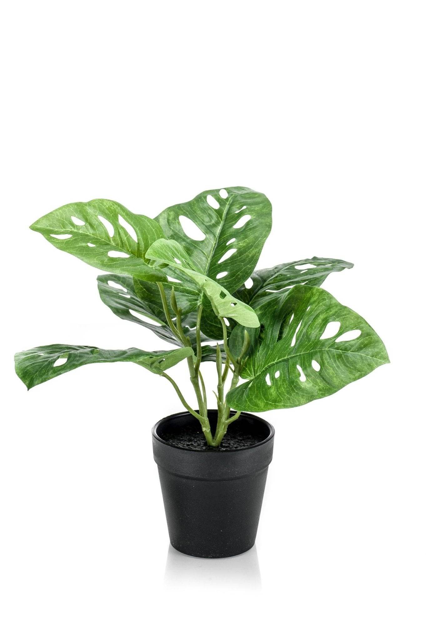 La Green Touch - Monstera Monkey plante artificielle - h29cm, Ø18cm- La Green Touch - Imagen 5