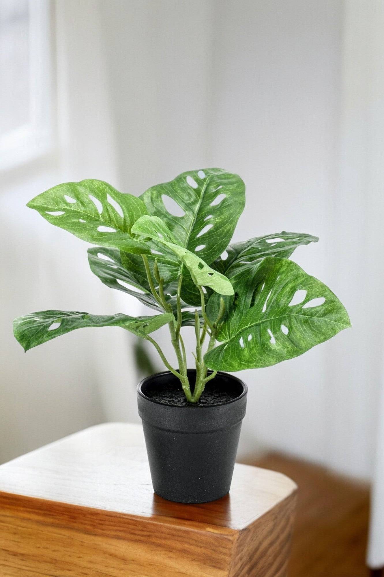 La Green Touch - Monstera Monkey plante artificielle - h29cm, Ø18cm- La Green Touch - Imagen 1