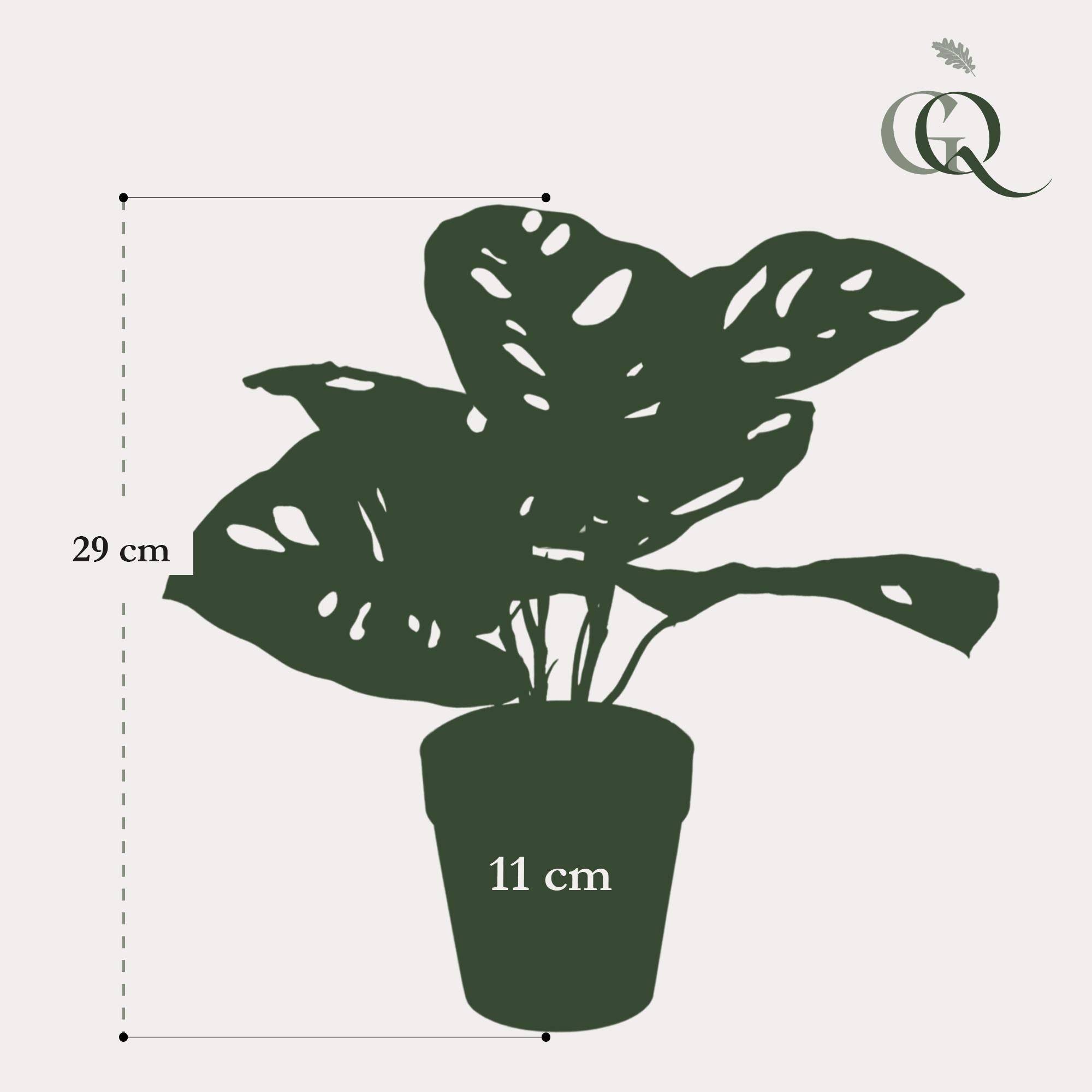 La Green Touch - Monstera Monkey plante artificielle - h29cm, Ø18cm- La Green Touch - Imagen 3