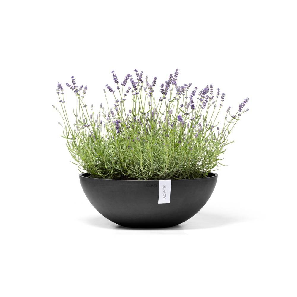 Ecopots - Pot Rond Vienna 50 Gris Foncé - Ø 50 x H. 18 cm - 22,3 L ECOPOTS - Imagen 2