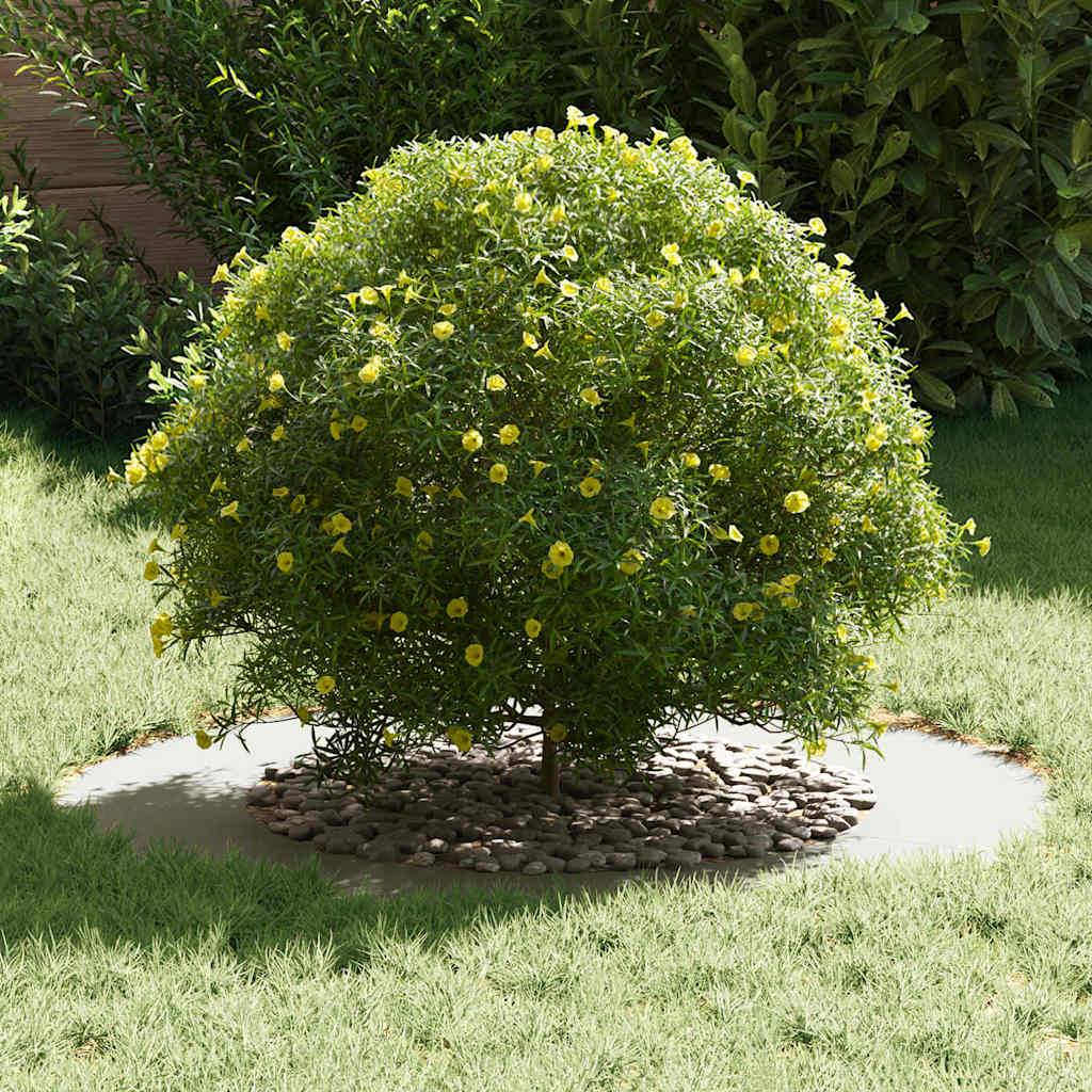Vidaxl - adapté pour anneau d'arbre plat Blanc Ø50/80 cm Acier vidaXL 873692 - Image 4