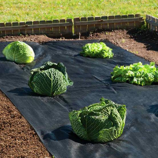 Terre Jardin - Bâche de paillage 10 mètres 90 g/m2 - Image 2