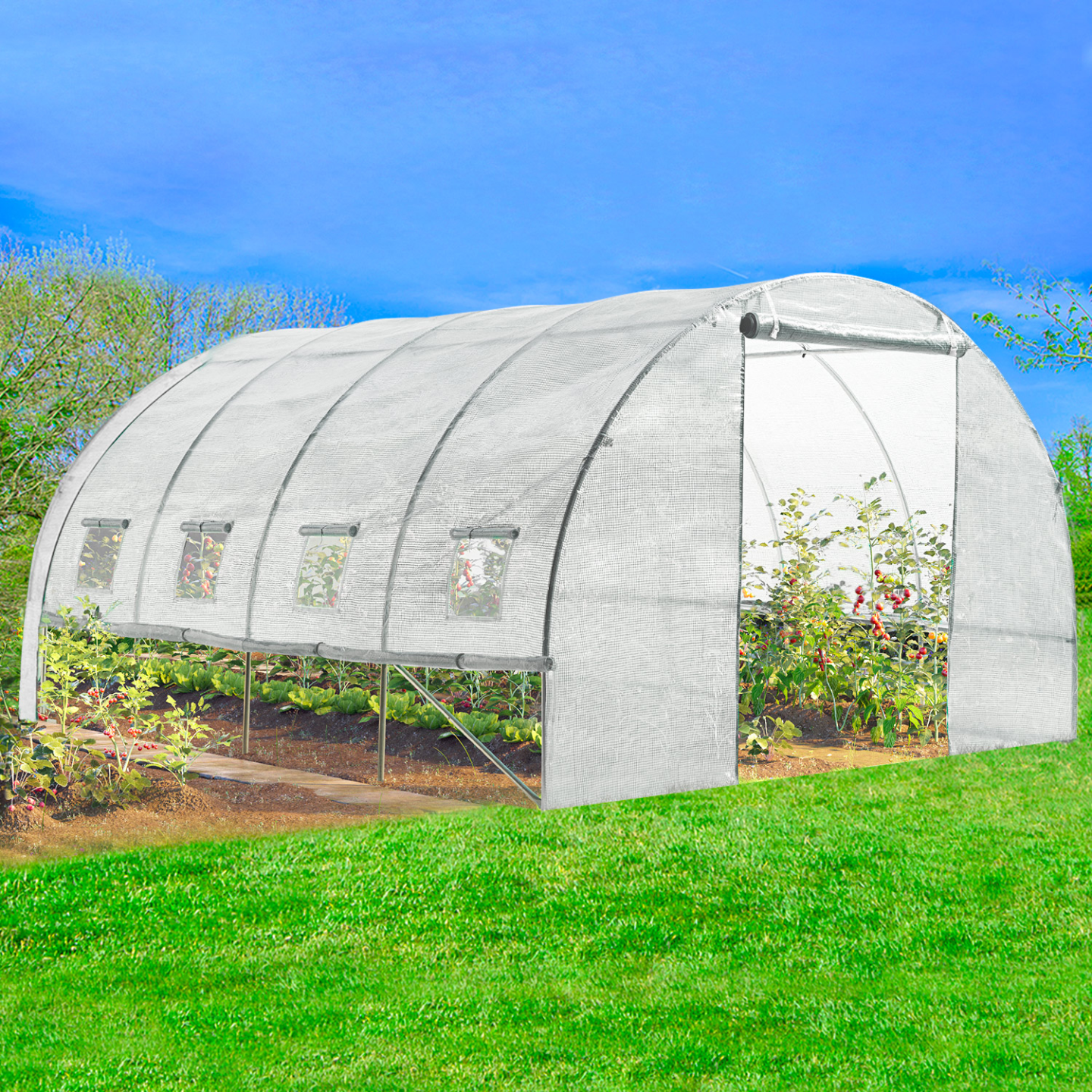 Serre tunnel de jardin 4 saisons 12M² blanche gamme maraîchère ZEBRA 4x3M - Image 3
