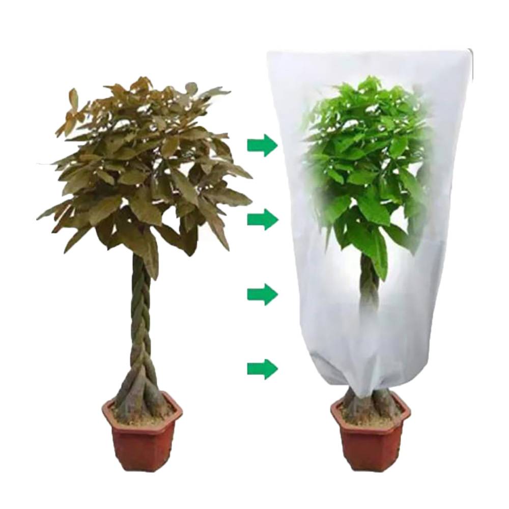 Dare Win Store - Couverture de protection pour plantes - petit arbre 60x80 cm - Imagen 3