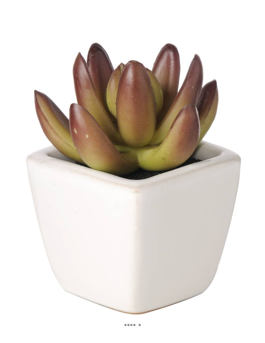 Artificielles - Agave Plante grasse artificielle succulente cactée en pot ceramique - couleur: Vert - div: G