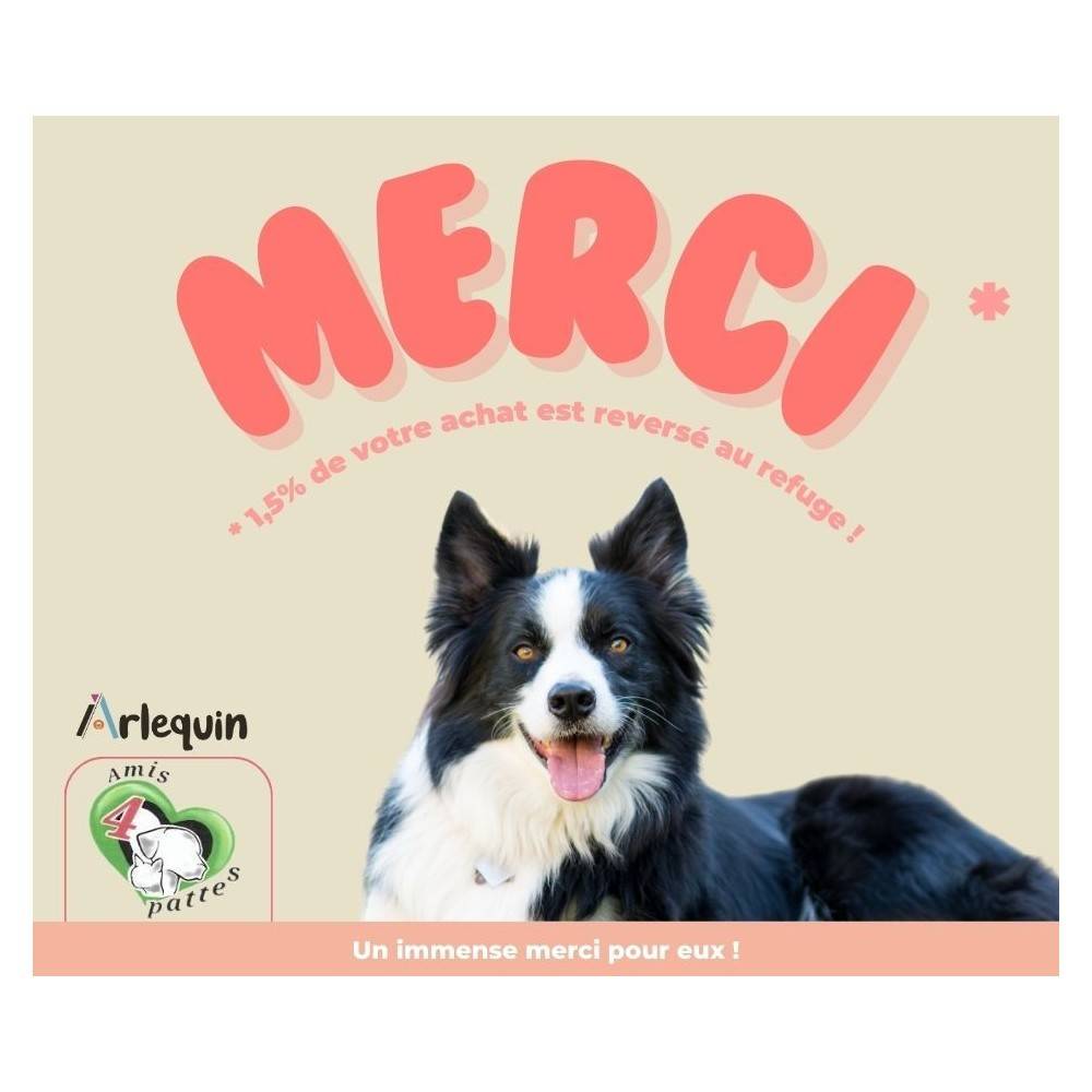 CROQUETTE CHIEN SANS CÉRÉALES LIGHT ARLEQUIN ORIGINELLE SAUMON TRUITE 12 kg - Image 3