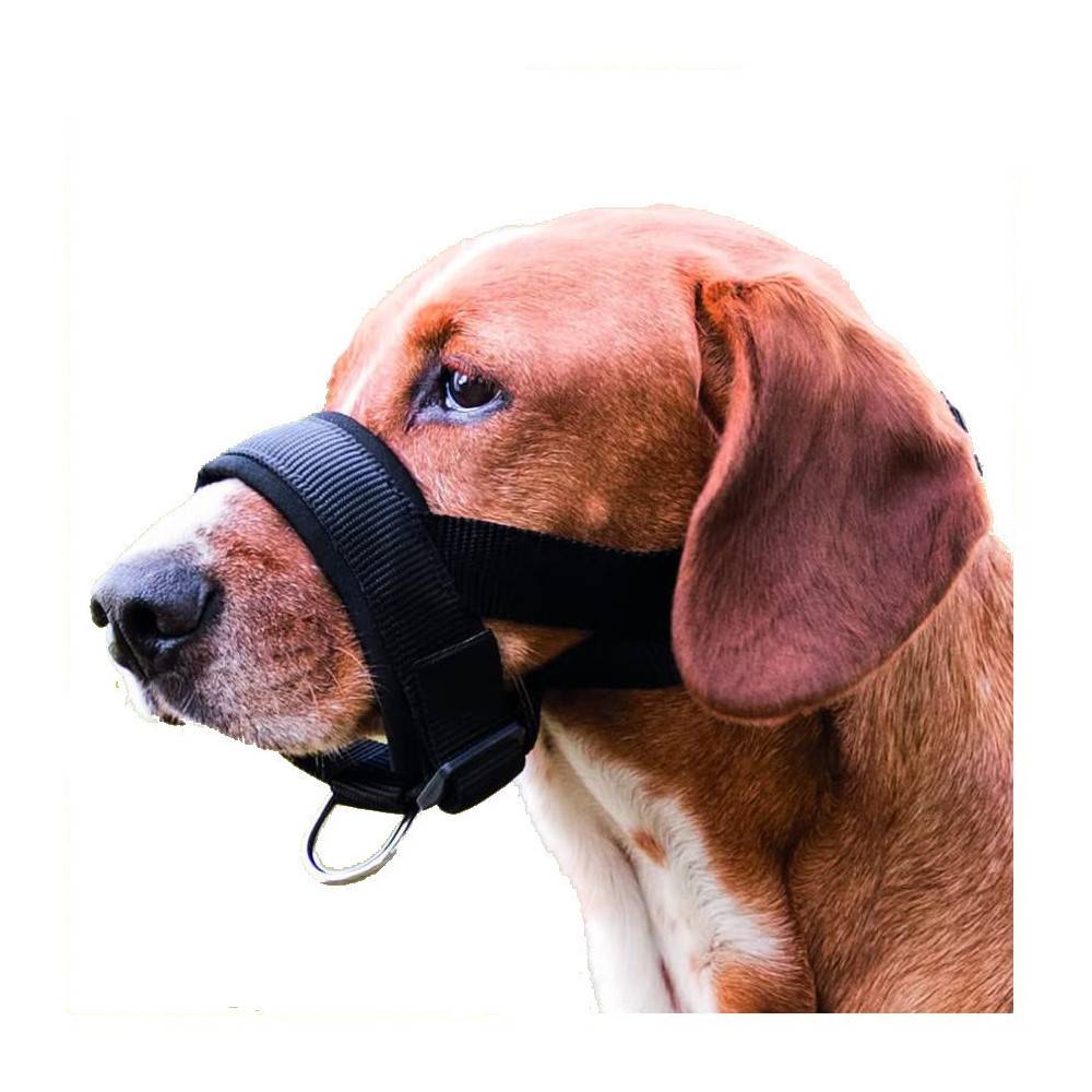 Trixie - Muselière sangle taille L-XL pour chien Bouvier Bernois, Golden Retriever. - Imagen 1