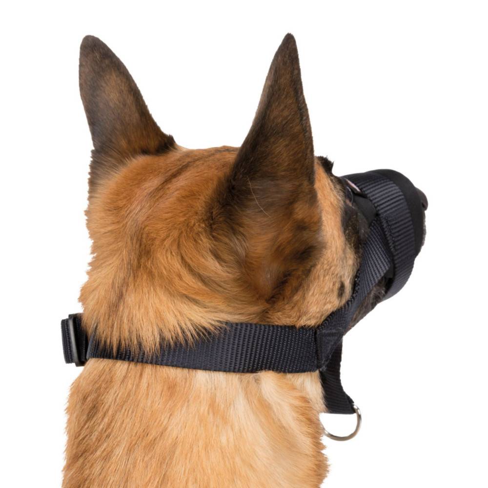 Trixie - Muselière sangle taille L-XL pour chien Bouvier Bernois, Golden Retriever. - Imagen 4