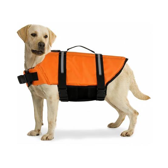 Gilet de sauvetage pour chien M IntiMeg - Image 2