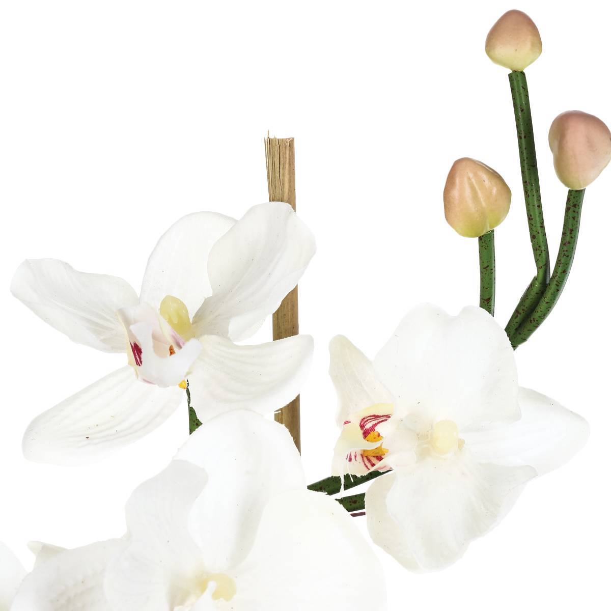 Atmosphera - Composition d'orchidées artificielles vase verre H37cm - Atmosphera Créateur d'intérieur - Imagen 3