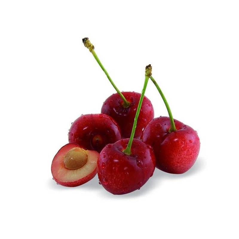 Cerisier nain Chérie Cherry - Nains de jardins® - Bon rendement - Pot de 5L - 40/80 cm - De 1,50 m à 2,00 m - Image 2