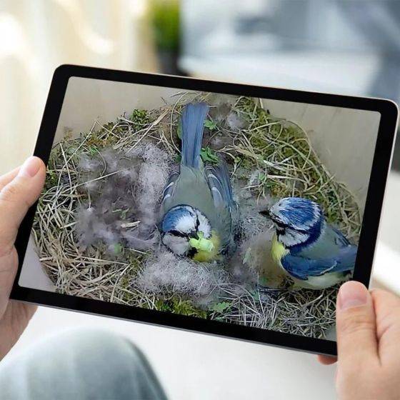Green Feathers - Kit complet Nichoir oiseaux avec caméra Wifi - Imagen 7