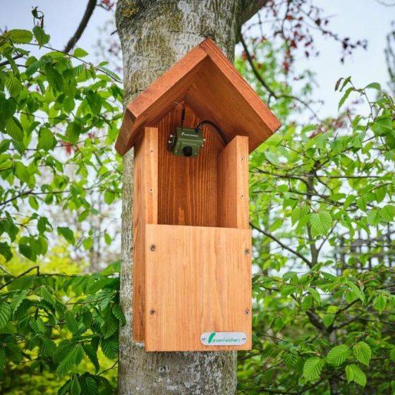 Green Feathers - Kit complet Nichoir oiseaux avec caméra Wifi - Imagen 4
