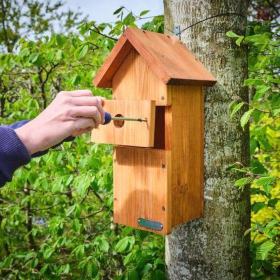 Green Feathers - Kit complet Nichoir oiseaux avec caméra Wifi - Imagen 8