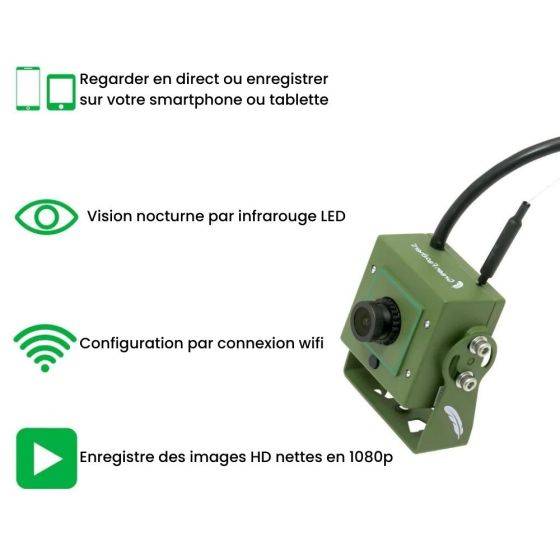 Green Feathers - Kit complet Nichoir oiseaux avec caméra Wifi - Imagen 5