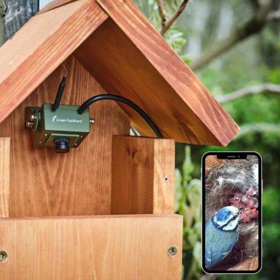 Green Feathers - Kit complet Nichoir oiseaux avec caméra Wifi - Imagen 3