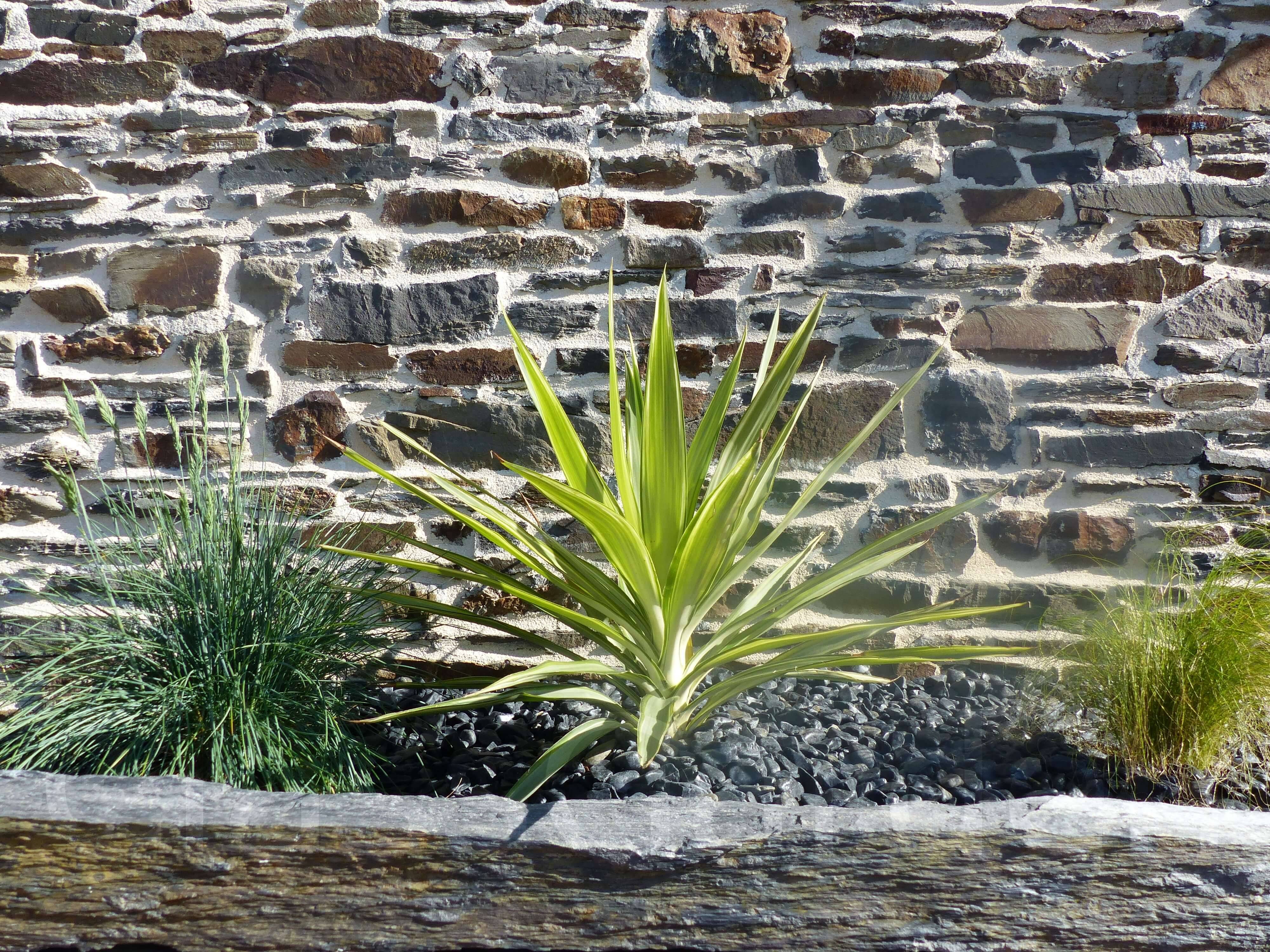 Bordure Schiste 1 Mètre - Pack de 20 pièces - Image 3