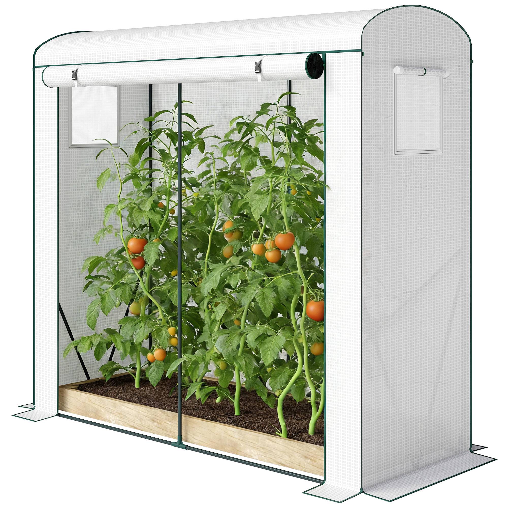 ComfortXL - Serre de jardin en acier et PE 200 x 75 x 188 cm blanche avec porte enroulable et 2 fenêtres moustiquaires - Image 2
