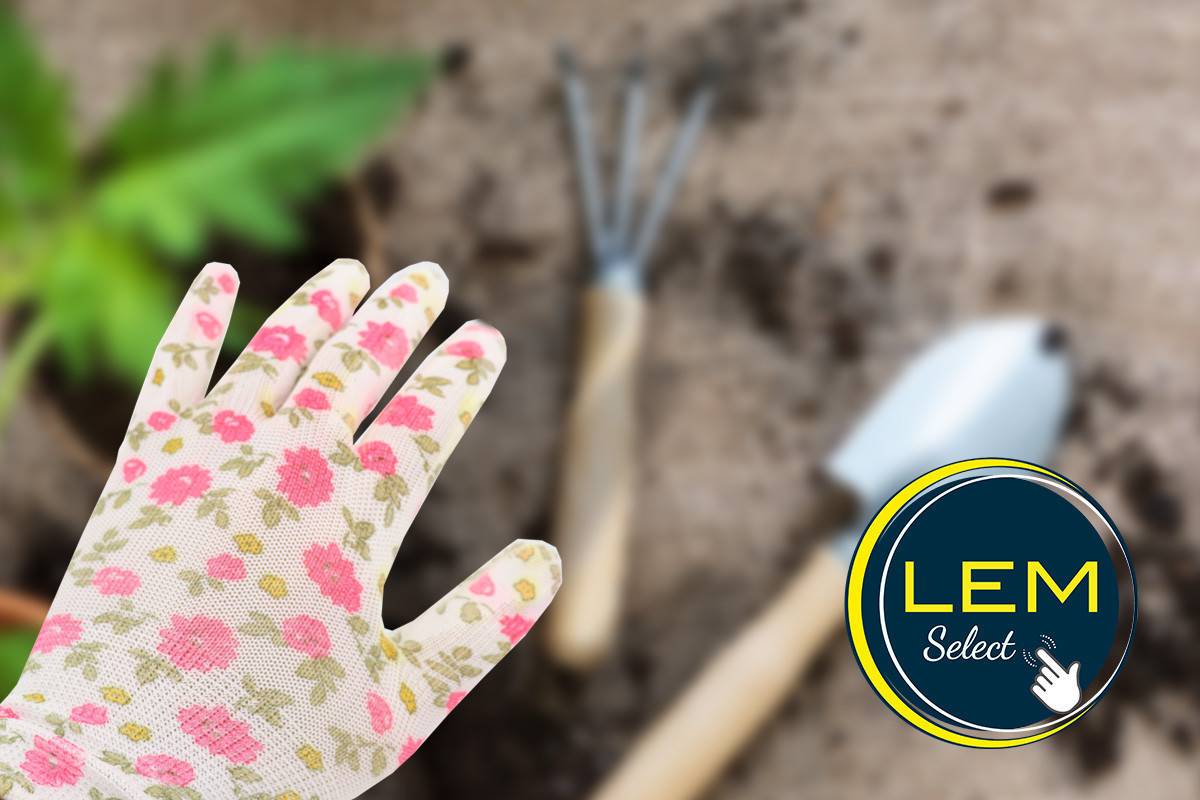 Lem Select - Lot de 3 paires de gants pour le jardinage en polyuréthane "Pure Pretty" Taille 8 - Imagen 2