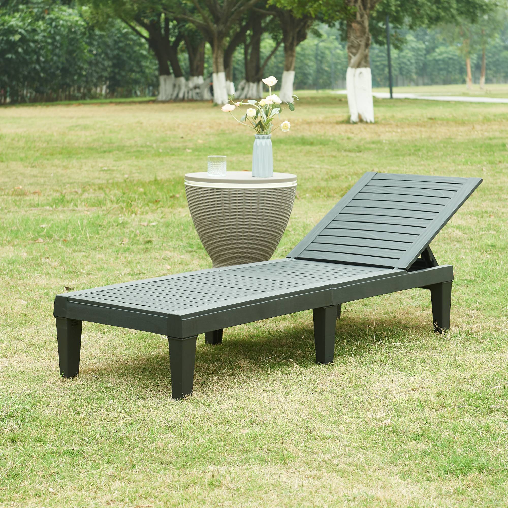 Casa.Pro - Chaise longue de jardin Ateleta 172 x 58 x 74 cm noir structuré casa.pro - Image 4