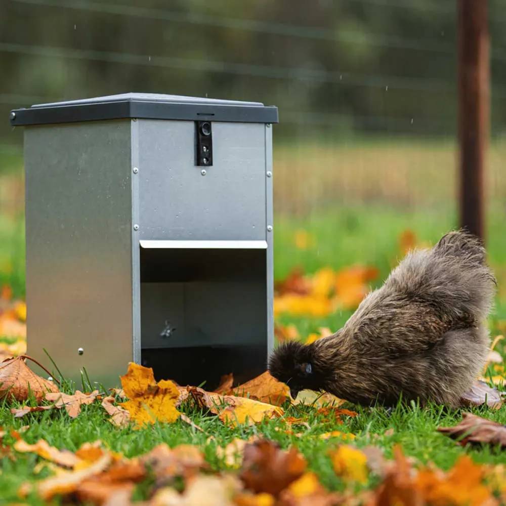Mangeoire à trémie galvanisée 5 kg pour volailles et canards - Image 1