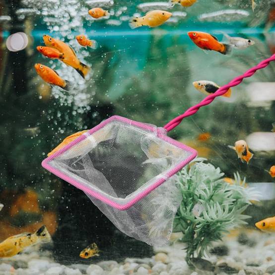 Filet Sécurisé pour Aquarium DtopbuyAge - Image 3